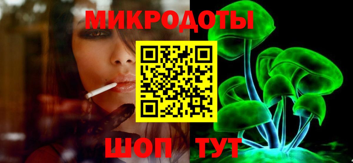 Галлюциногенные грибы Psilocybe Лабинск