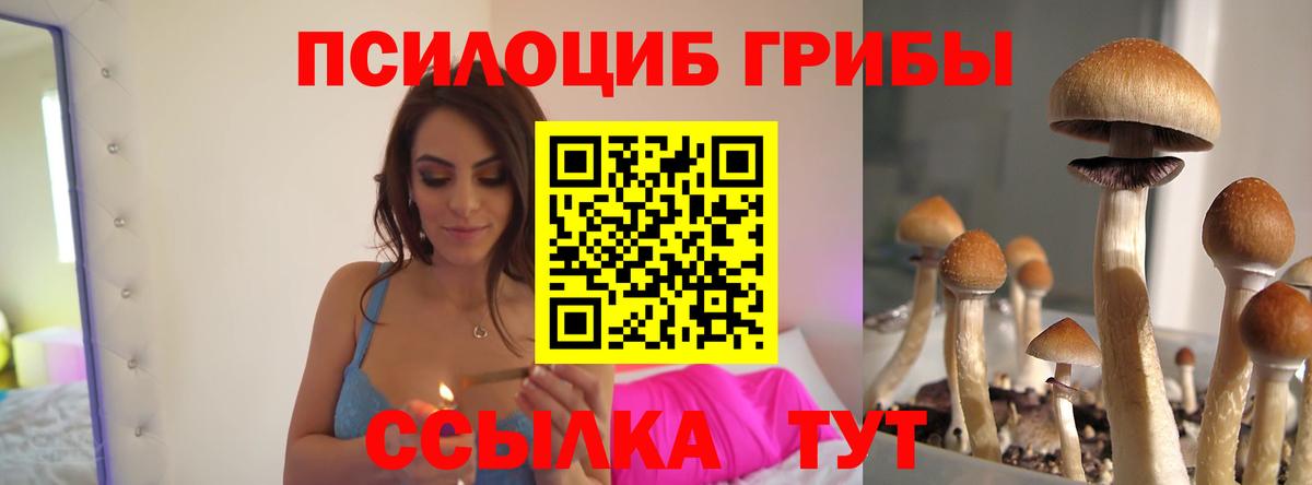 Лабинск  Галлюциногенные грибы Cubensis  Вход с VPN  Псилоцибиновые грибы Cubensis 